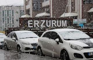 Erzurum’da baharı beklerken kış geri geldi
