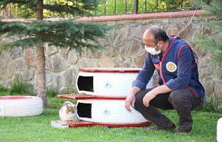 Eski araba lastiklerini mama kabı yaptılar