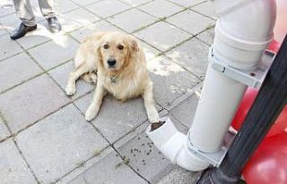 Eski su boruları besleme noktası oldu