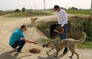ESO, sokaktaki canları unutmadı