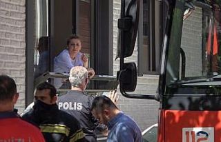 Evde telef olan kedi polis ve itfaiyeyi alarma geçirdi