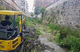 Fatsa dereleri temizleniyor