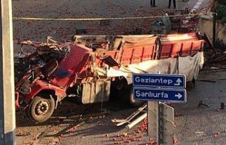 Freni boşalan domates yüklü kamyon köprüden uçtu