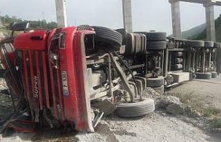 Freni boşalan tır kaza yaptı, sürücüsü yaralandı