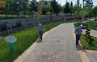 Gaziantep’te haşere ile mücadele sürüyor