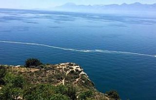 Gemi atığı değil polen kümesi