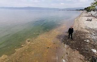 Gemlik Körfezi’nde şaşkına çeviren görüntü