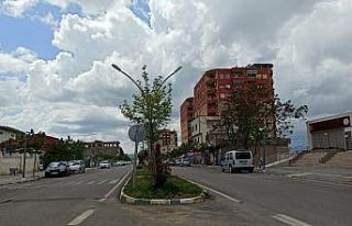 Gercüş’te cadde, sokak ve parklar boş kaldı