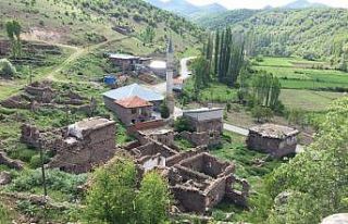 Gidemedikleri köylerine kamera yerleştirip özlem...