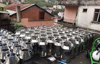 Giresun’da manda yetiştiriciliği ve manda sütü...