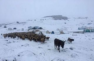 Göçerler baharda kışa yakalandı