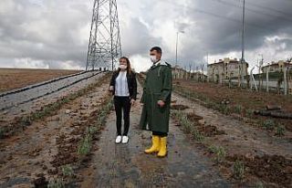 Gölbaşı’nı lavanta kokuları saracak