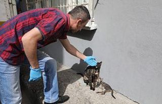 Gözlerini kaybetmek üzereydi, İlkadım Belediyesi...