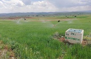 Gümüşhane’de 113 bin 800 dekar tarım arazisinin...