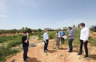 Güneyşehir alt yapı projesi içi düğmeye basıldı