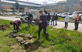 Gürpınar Belediyesinden “Bu Benim Fidanım”...