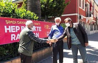 Gürsu sokakları çınarların mutluluğuyla ısındı
