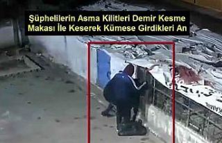 Güvercin hırsızları kameralara yakalandı