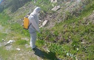 Hakkari’de dere yatakları larvalara karşı ilaçlanıyor