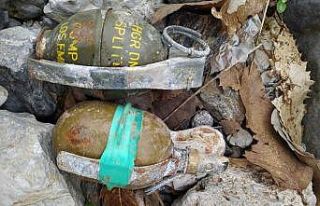 Hakkari’de Kavaklı-3 operasyonu