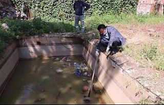 Havuzda boğulmak üzere olan kaplumbağayı başkan...