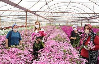 Hem anneler sevinecek hem de çiçek üreticileri