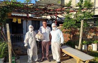 Hıdırellez Şenliği bu yıl farklı kutlandı