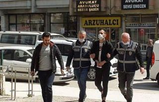 Hırsızlık zanlısı tutuklandı