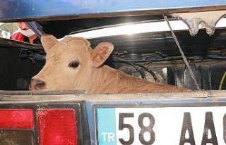 Hurdaya dönen araçtan 3 yaralı çıktı, bagajdaki...