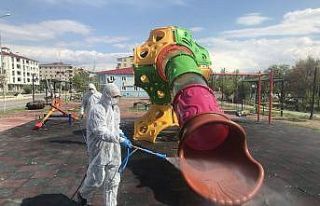 Iğdır’da Park ve Bahçeler dezenfekte ediliyor