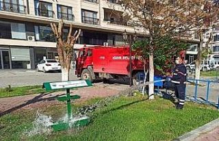 Iğdır’da sokak hayvanları unutulmadı