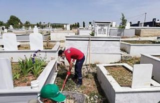 İlimtepe Mezarlığı düzenleniyor