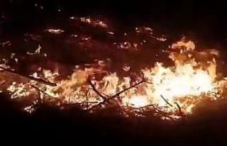 İnegöl’de 10 dönüm ormanlık alan küle döndü