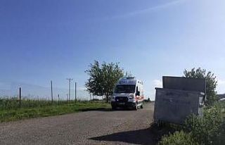 İnekler tarlaya girdi, taşlı sopalı kavga çıktı