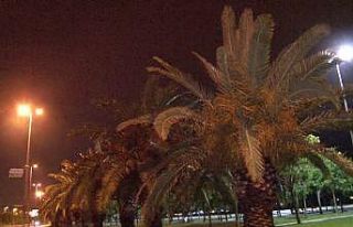 İstanbul’da şiddetli rüzgar ve yağmur etkisini...