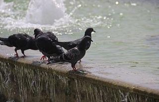 İzmir’de sıcak hava rekor seviyede