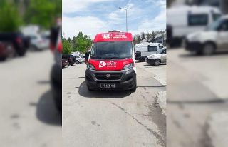 İzmit Belediyesi’nden sokak hayvanlarına ambulans...