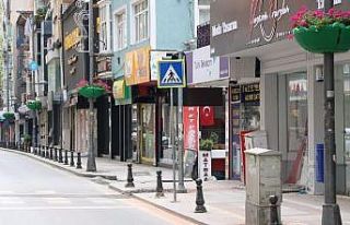 İzmit İnönü Caddesi sardunyalarla renklendi