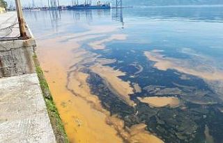 İzmit Körfezi’nda oluşan tabakayla ilgili açıklama