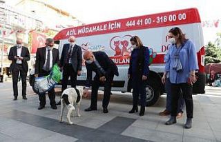İzmit’te sokak hayvanlarının yadımına ambulans...
