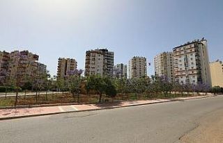 Jakaranda koruluğu, bölge halkına nefes oldu