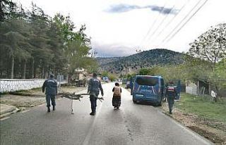 Jandarma odun taşımakta zorlanan yaşlı kadının...