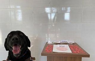 Jandarma’dan uyuşturucu operasyonu