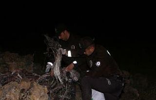 Kablo hırsızı yaklaşık 300 kilo kabloyu yakarken...