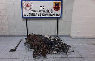 Kablo hırsızları jandarma ekiplerince yakalandı