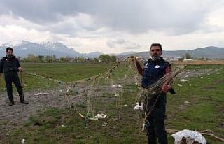 Kaçak avcıları korona virüs bile durduramıyor