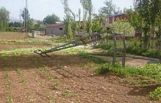 Kahramanmaraş’ta fırtına, ağaçları devirip...