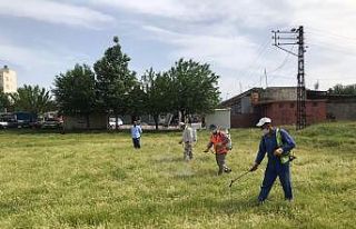 Kahta’da yabani otlar imha ediliyor