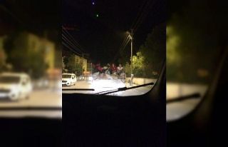 Kamyonet kasasında tehlikeli yolculuk