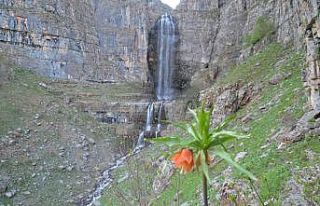 Kar kütleleri eridi dev şelaleler oluştu